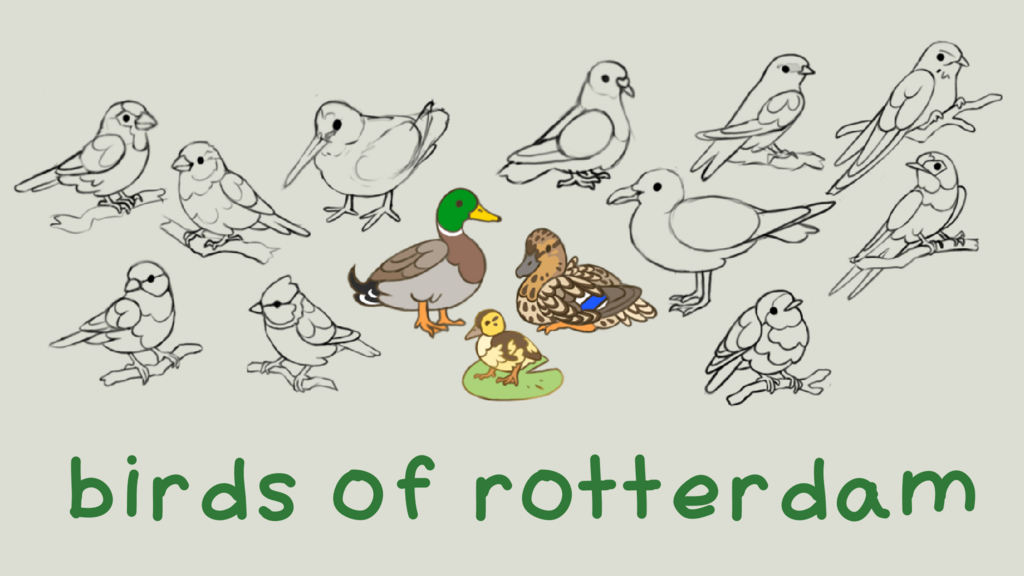 Birds of Rotterdam - Enamel Pins