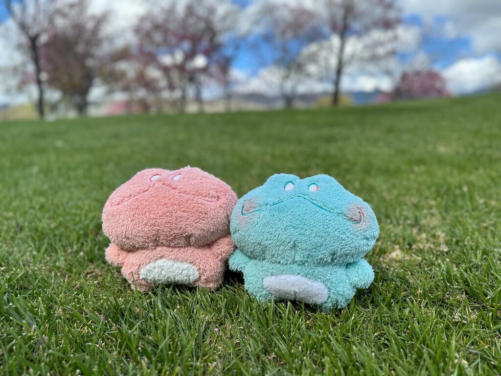 Coming Soon: Pastel Fluffy Frog Plush