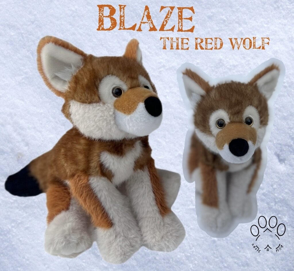 Adopt Blaze: Endangered Red Wolf Plush