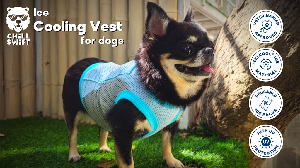 Protect Your Dog from Overheating with CHILLSWIFT®