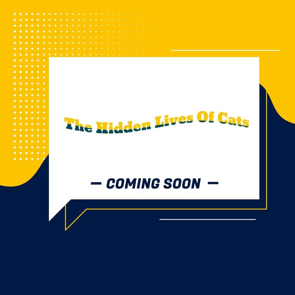 The Hidden Lives of Cats - Pilot