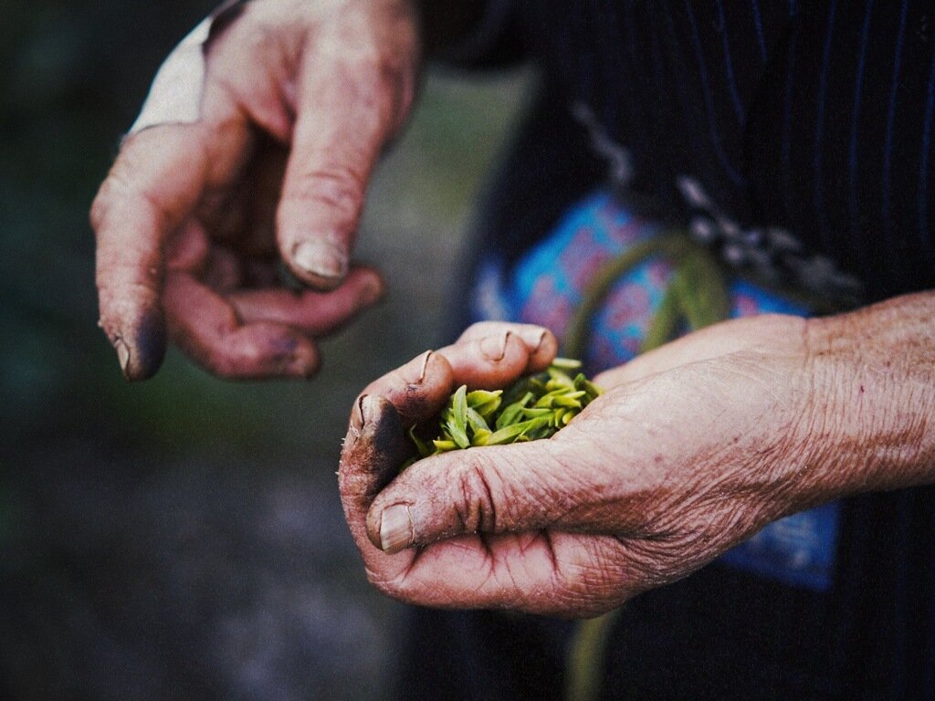 3000-Year Tea Ritual Kit-Taste the Heart of Enshi Mountains