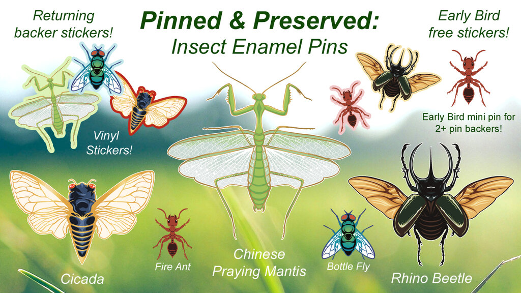 Pinned & Preserved: Insect Enamel Pins
