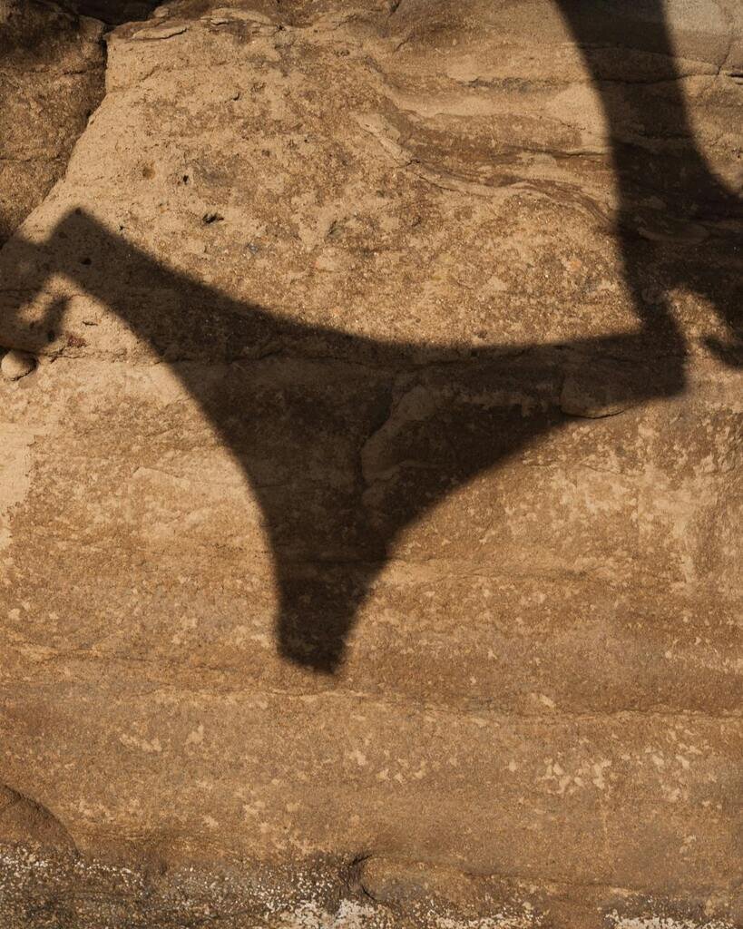 The Future of Natural Undies - Organic Cotton & Seaweed