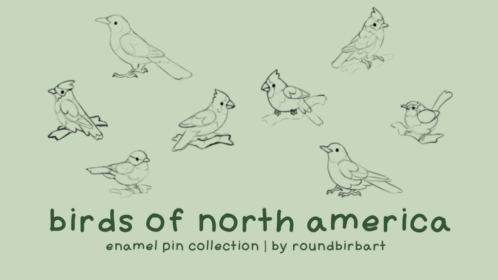 Birds of North America