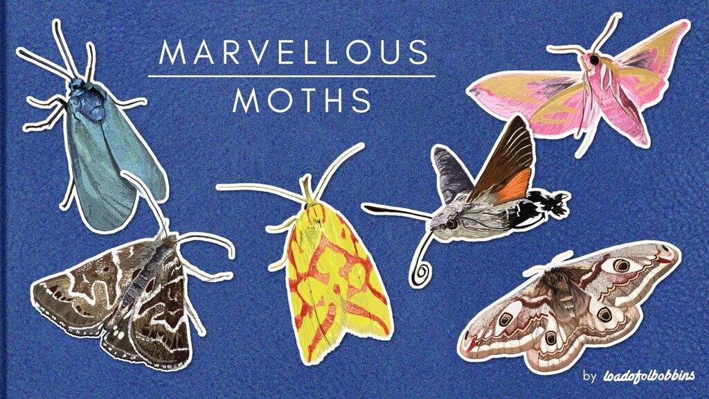 Marvellous Moths Stickers