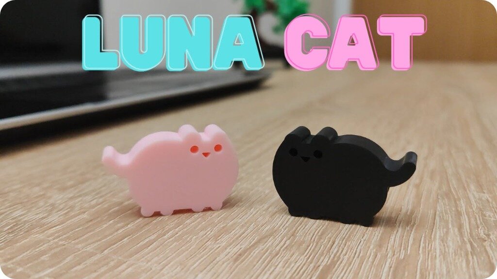 Luna Cat: Webcam Cover