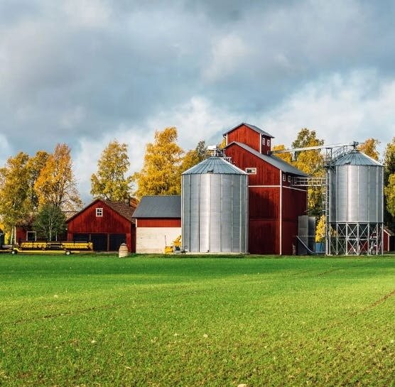 Safety, Standards, and longevity: The Value of Professional