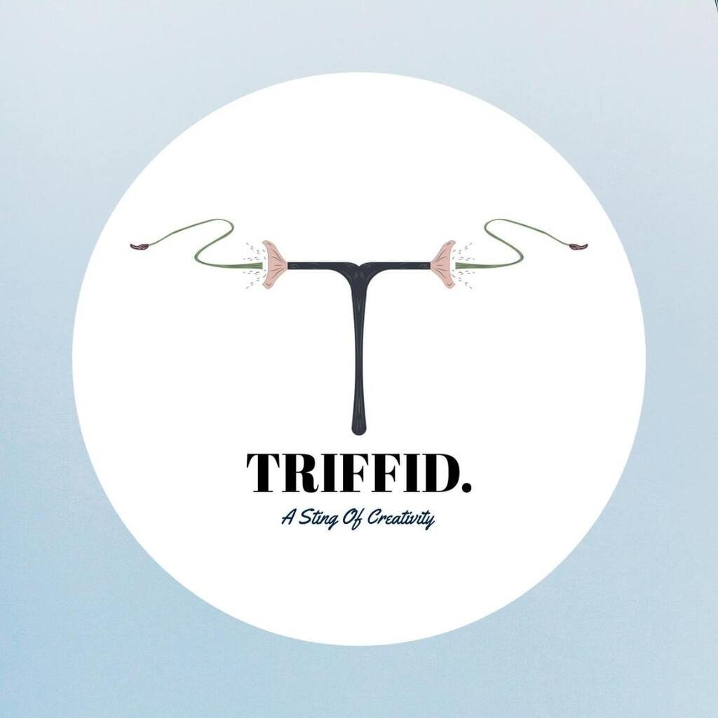 Web Design Agency Delhi