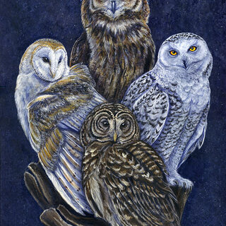Art Print - Guardian Owls