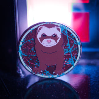 Felicia The Fermilab Ferret Pin