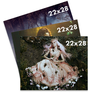 Signed Limited Edition Dream About You Posters