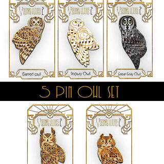 Set of 5 Owl Pins