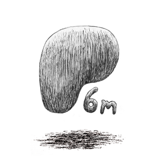 Patreon access - 6 months