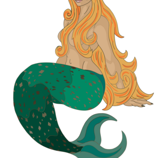 Mersy mermaid pin -B grade
