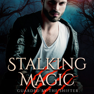 Stalking Magic ebook