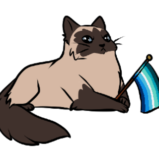 Gay flag cat pin