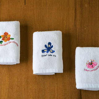 Three 2451 Hand Towels
