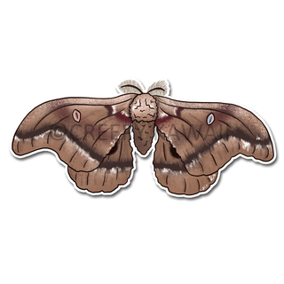 Polyphemus Moth 3" Vinyl Sticker