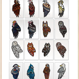 Visionary Vultures 2-  5" x 7" size Full set of 20 Prints