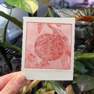 "Fauxlaroid" Pomegranate Etching