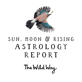 Sun, Moon & Rising Astrology Report