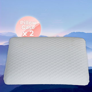 2 PACK - Ice Silver Pillow Cover  --  FREE US SHIPPING