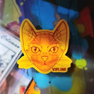 Focused Schrödinger's Cat Sticker