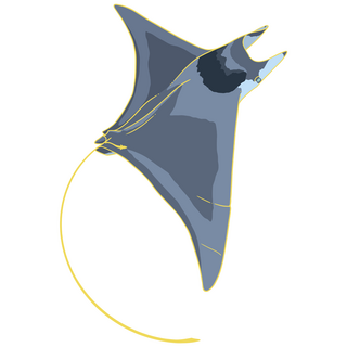 Mystery Sticker Pack