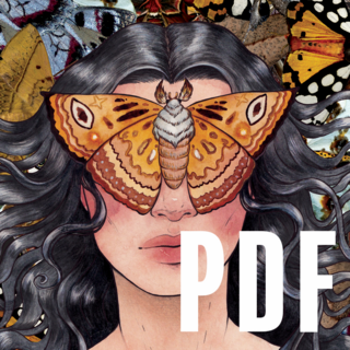 Witch: Fated Souls 2e (PDF)