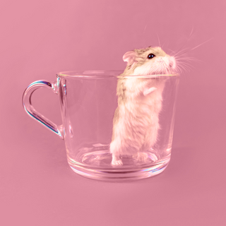 Tip Jar