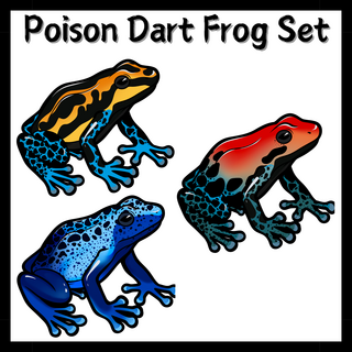 Poison Dart Frog Set (3 Pins)