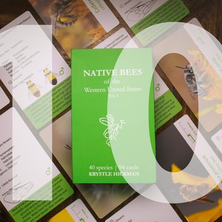 Ten Decks - Native Bee Flashcards!