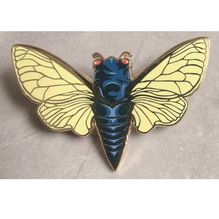 Cicada 2.5" XL pin