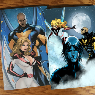 Goshawk and Falconet V1 and V2 Print