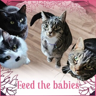 Treat for the babies