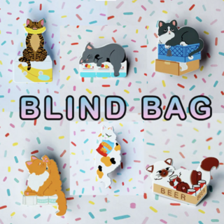 Bodega Cat Blind Bag Pin