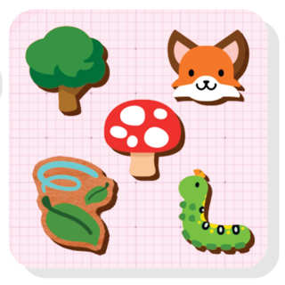 Forest Set Options