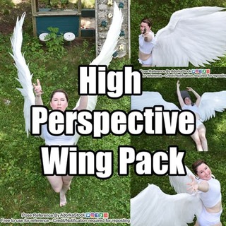 High Perspective Wings Pack