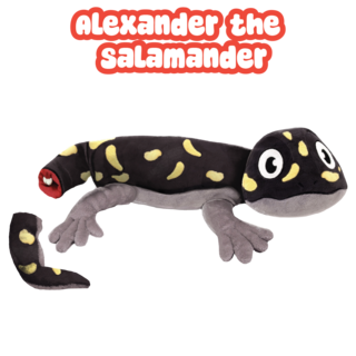 Alexander the Salamander Plush