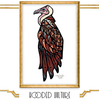 Original Painting - Hooded Vulture