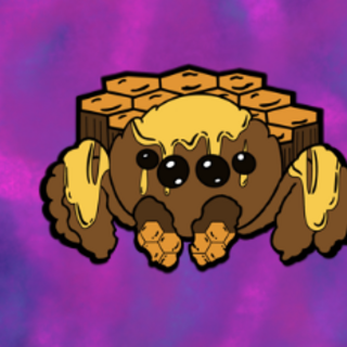 Honey Comb Jumping Spider Hard Enamel