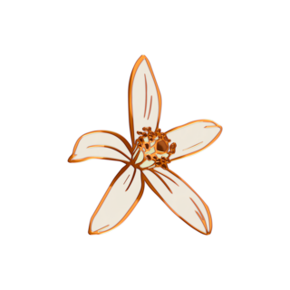 Orange Blossom Enamel Pin