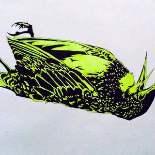 LIMITED EDITION STARLING GICLEE