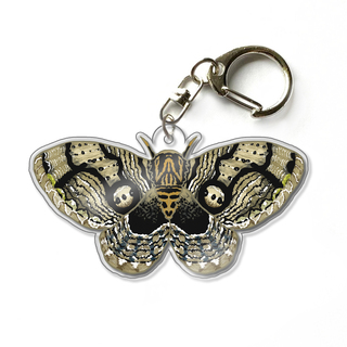 Owl Moth 2.5" Acrylic Keychain Charm