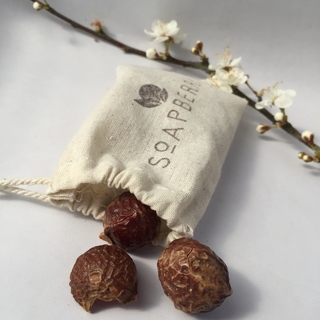 Bag of Soapberries