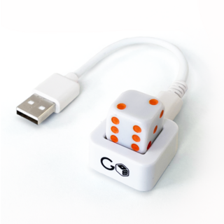 GoDice USB Charger
