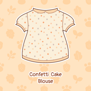 (Top) Confetti Cake Blouse