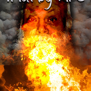 Trial by Fire eBook