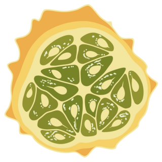 Kiwano Melon Pin